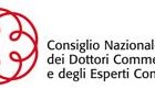 CONSIGLIO NAZIONALE DEI DOTTORI COMMERCIALISTI ED ESPERTI CONTABILI