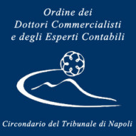 ORDINE DEI DOTTORI COMMERCIALISTI E DEGLI ESPERTI CONTABILI DI NAPOLI